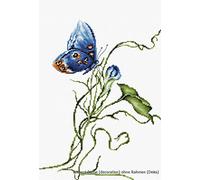 Luca-S LB2242 - Schema Punto Croce contato, Motivo emozione, 25 x 19,5 cm