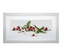 Luca-S LB2254 - Schema Punto Croce contato, Motivo Alcune Fragole, 18,5 x 49,5 cm