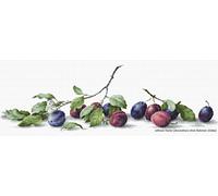 Luca-S LB2257 - Schema Punto Croce contato, Motivo susine, 18 x 57,5 cm