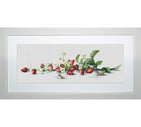 Luca-S LB2266 - Schema Punto Croce contato, Motivo rametto di Fragole, 14,5 x 50 cm