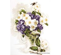 Luca-S - Set per Punto Croce a Schema numerato, Motivo: Vaso di gelsomini