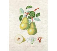 Luca-S Set per Punto Croce, Multicolore, 17,5x26cm