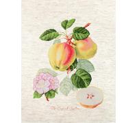 Luca-S Set punto croce "The Dutch Codlin" Aida, motivo di conteggio, 18,5x24cm