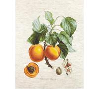 Luca-S Set per Punto Croce, Multicolore, 32x26cm