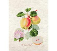 Luca-S Set per Punto Croce, Multicolore, 18,5x24cm