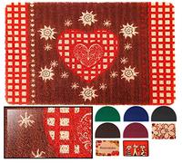 LucaHome - Zerbino in spugna rettangolare con base antiscivolo, molto assorbente, 40 x 60 cm ricci PVC, zerbino per esterni e interni