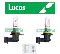 Lucas - 12V 55W HIR2 PX22D - 9012 - Lampadina Fari Alogeni - LLB190 x2