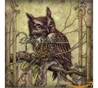 Lucas,Austin - A New Home,in the Old World