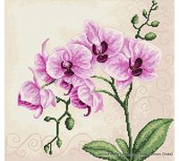 Luca-S Quadro Realizzato a Punto Croce, Soggetto: Orchidea