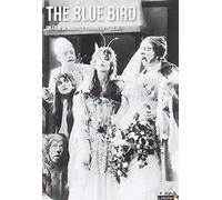 L'uccello blu