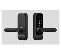 Lucchetto a combinazione multifunzionale sicuro con serratura for porta interna impronta digitale e funzioni di controllo remoto, Maggiore sicurezza(W1 Face Model)