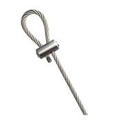 Lucchetto for cavo di sospensione in acciaio inossidabile regolabile da 2,0/3,0/4,0 mm con serratura, kit fissaggio espandibile, for illuminazione(Clear,3.0 m)