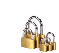 Lucchetto in rame con chiave, 2 pezzi, testa in ottone, 20 mm, 25 mm, 30 mm e 40 mm, nucleo di bloccaggio, include 6 chiavi. (20 mm)