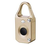Lucchetto Intelligente con Impronta Digitale Deposito serratura elettronica intelligente di impronte digitali Fingerprint automatico cassetto Blocco Kit blocco per La Sicurezza(Gold)