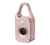 Lucchetto Intelligente con Impronta Digitale Deposito serratura elettronica intelligente di impronte digitali Fingerprint automatico cassetto Blocco Kit blocco per La Sicurezza(Rosa)