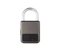 Lucchetto Portatile Intelligente per Impronte Digitali Tuya APP con Supporto Chiave USB per Emergenza (Grigio)