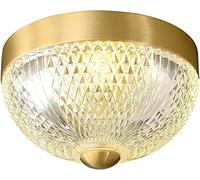 Luce a soffitto a LED da 12 W con Motivo Acrilico Omaggio Acrilico Postmoderno a Filo Luce a soffitto a 3 Colori Luci del corridoio Mini lampadari per la Lavanderia Cucina Camera da Letto Prodotta in