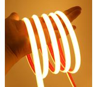 Luce al Neon Flessibile Striscia LED COB con Alimentatore 220V Impermeabile IP65 [EEK: A+++]