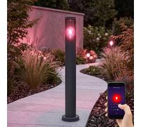 Luce con Piedistallo da Esterno Piantana Smart LED Rauch Antracite RGB Google