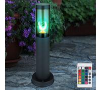 Luce con Piedistallo Esterni Piantana RGB LED Telecomando Dimmerabile Antracite [EEK: F]
