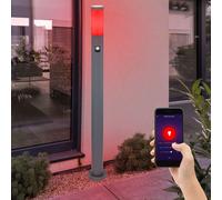 Luce con Piedistallo Esterni Piantana Smart Controllo Vocale Movimento App LED