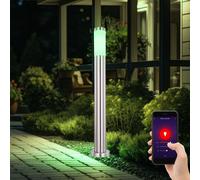 Luce con Piedistallo Piantana Esterni Lampada Cortile Acciaio Inox Guida Vocale [EEK: F]