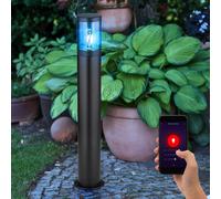 Luce con Piedistallo Piantana per Esterni Smart LED Google Alexa RGB Fumo Inox [EEK: F]