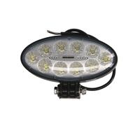 Luce da lavoro WESEM CRV1D.55901.00