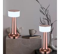 Luce da Tavolo Lampada Comodino Rame LED Regolatore Touch H 21,5 CM 2er Set