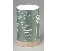 Luce Decorativa LED Salvia 15Cm 20Cm - Vivi Ama Ridi