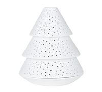 Luce di abete piccola
