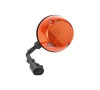 Luce Di Cortesia Laterale DT PEZZI DI RICAMBIO IAM-Expertise Compatibile Con MAN