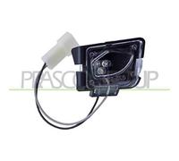 Luce Di Cortesia Retrovisore Destro Per PEUGEOT 308 (T9) 2013-2017 LATO DESTRO