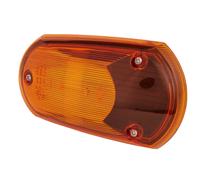 Luce Di Emergenza Laterale Aggiuntiva 24 V P21W Alogena Gialla (Ambra) HELLA