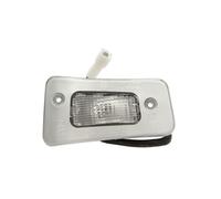 Luce di ingombro laterale DT Spare Parts 7.25315 destro