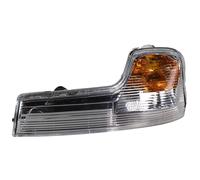 Luce Di Segnale Specchio Esterno Destro W16W Trasparente METZGER Per IVECO DAILY