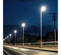 Luce di Strada per Esterni Lampada da Bianco Freddo LED Palo Alluminio L 39,5 CM [EEK: F]