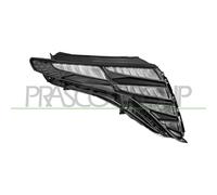 PRASCO HN8104313 Luce diurna