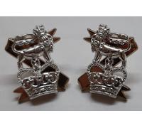 Luce Dragoni Distintivi Colletto British Abito No1 No2 - Nuovo