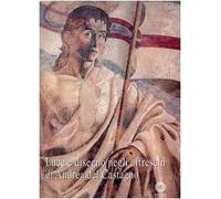 Luce e disegno negli affreschi di Andrea del Castagno. Ediz. illustrata