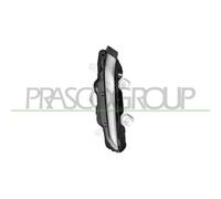 PRASCO PG3304315 Luce diurna