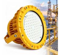 Luce Industriale Dimmerabile, Luce LED Antideflagrante | Grado Di Impermeabilità E Resistenza Alla Polvere, Schermato Contro I Fulmini, For Spazi(100W)
