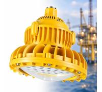 Luce Industriale Dimmerabile, Luce LED Antideflagrante | Grado Di Impermeabilità E Resistenza Alla Polvere, Schermato Contro I Fulmini, For Spazi(60W)