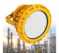 Luce Industriale Dimmerabile, Luce LED Antideflagrante | Grado Di Impermeabilità E Resistenza Alla Polvere, Schermato Contro I Fulmini, For Spazi(30W)