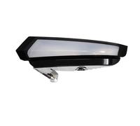 Luce Intermittente Sinistra Del Paraurti Anteriore IVECO DAILY Dal 2014