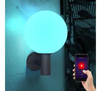 Luce Lampada da Parete per Esterni Cct Diurna Controllo Vocale Timer LED 37cm