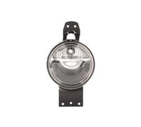 Luce laterale per MINI MINI COUNTRYMAN (R60)