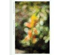 Luce Lebart Terri Weifenbach: Cloud Physics (Copertina rigida)