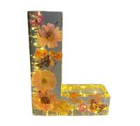 Luce notturna a forma di lettera floreale, luce notturna a forma di fiore, fiori pressati in resina, luce notturna a LED, lampada decorativa per la casa, regalo per la festa della mamma