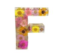 Luce notturna a forma di lettera floreale, luce notturna fai da te, fiori pressati in resina, luce notturna a LED, lampada decorativa per la casa, regalo per la festa della mamma e compleanno